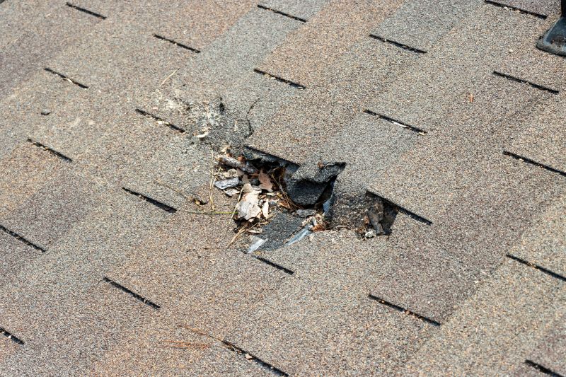 Roof Hole Repair