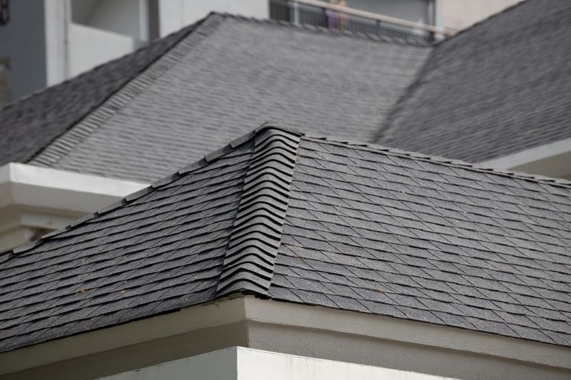 Shingle Repair