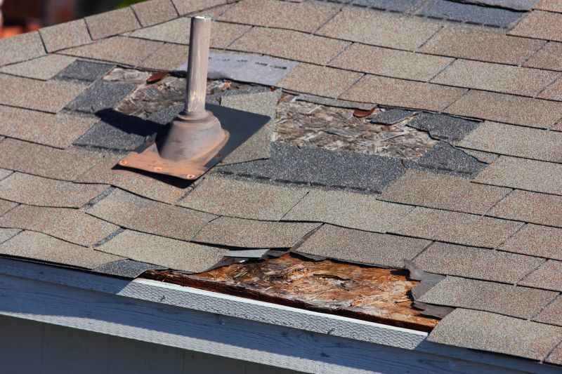 Damaged Roof Replacement in Hamilton, VA